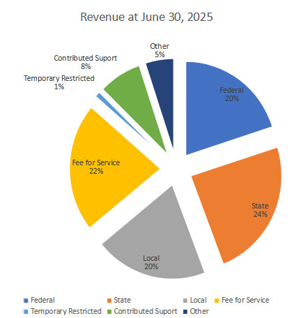 Revenue 2025